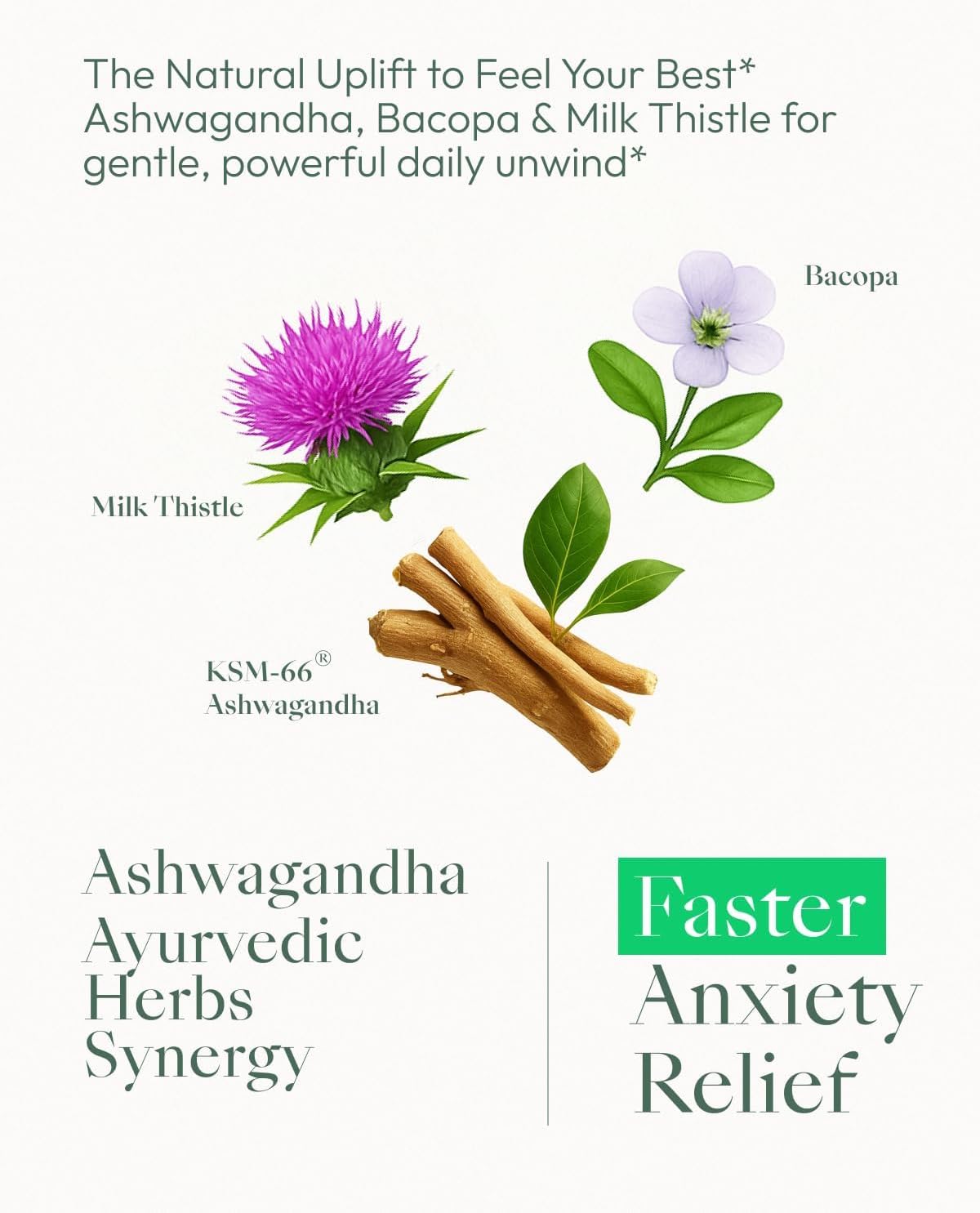 Ashwagandha Vegana Ultra Potente - Alivio del Estrés - 4