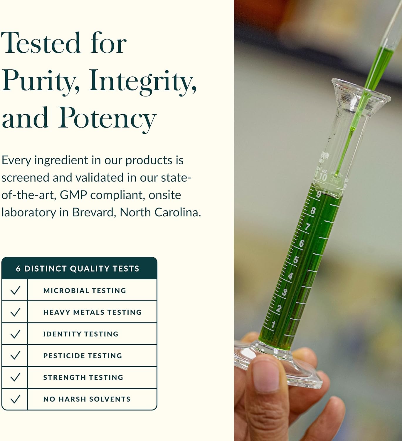 Cúrcuma Suprema Ultra Absorbente - Fuerza Extra para Bienestar - 6