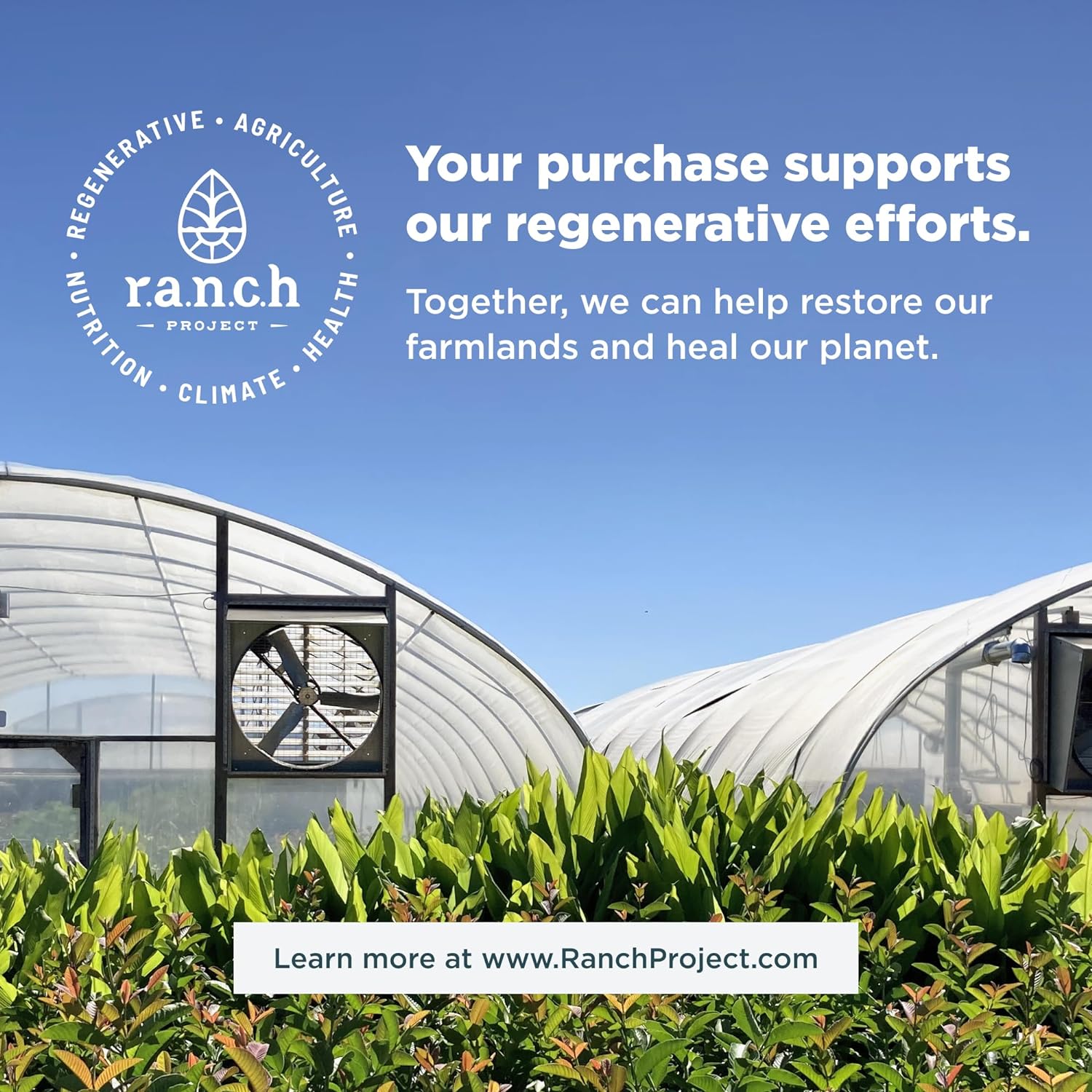 Píldoras de Colágeno Multiarticular Ultra Efectivas - 6