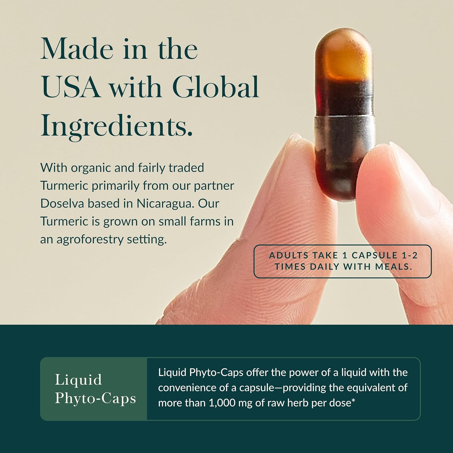 Cúrcuma Suprema Ultra Absorbente - Fuerza Extra para Bienestar - 4