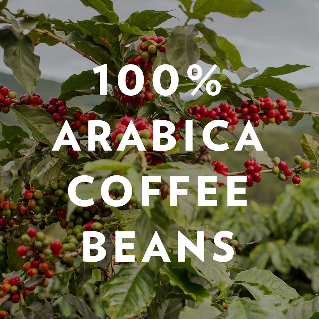 Café Community Coffee y Chicoria instantáneo 7 oz - 3